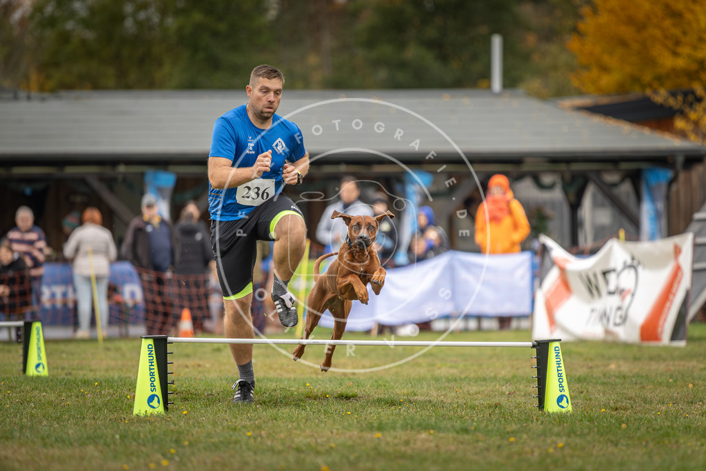 Pfotenfotografie_DV3A4903 | Hundefotografie, Tierfotograf, Pfotenfotografie, Fotoshooting Hund, Hunde Portrait, Hundesport, Hundeportraits, Heideshooting, Hunde, Sportfotograf, Hundefotograf, Turnierhundsport, THS,  - Realisiert mit Pictrs.com