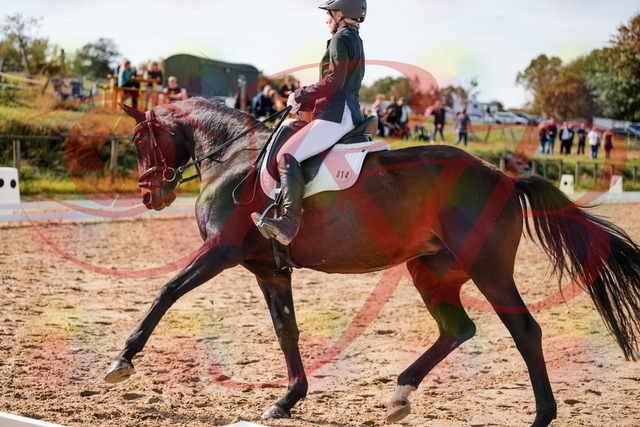 2026_10_03_Siefer-Hof_133421_Z63_92683492 | Professionelle Reitsport-, Turnier- und Eventfotografie von Robert Broda. Galerien mit ausgewählten und bearbeiteten Bildern direkt online ansehen und bestellen.