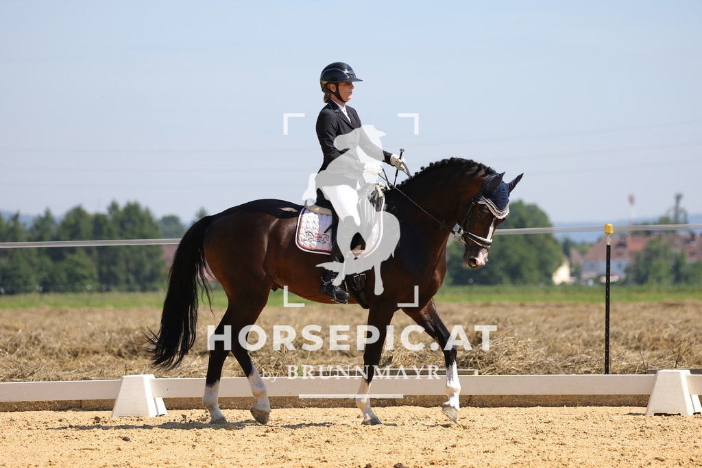 0P6A9635 | Willkommen bei Brunnmayr - Design & Fotografie – Ihrem Spezialisten für Reitturniere und Pferdeveranstaltungen in Oberösterreich, Salzburg und Bayern! Seit über 17 Jahren sind wir leidenschaftlich dabei.
