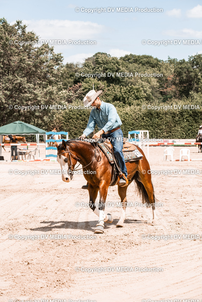 ZS3_0015 | dv-media-shop - Realisiert mit Pictrs.com