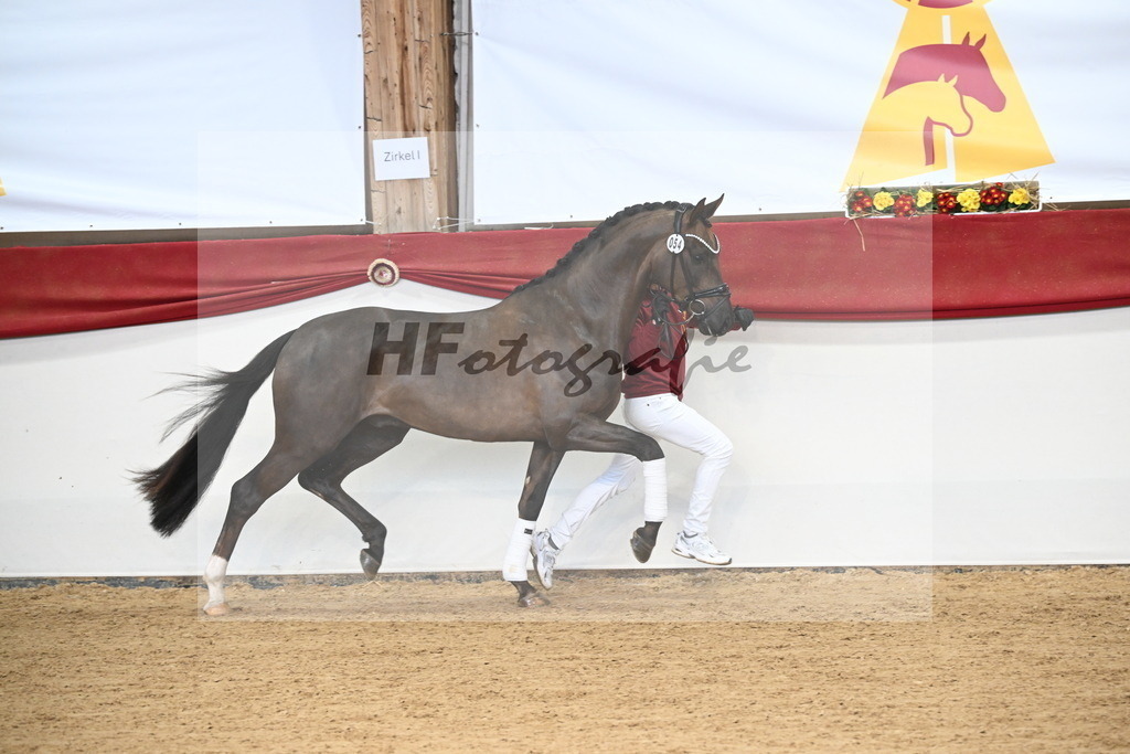 Kat.-Nr. 54 v. Feliciano_Rupp_3265137 | hf-fotografie - Realisiert mit Pictrs.com