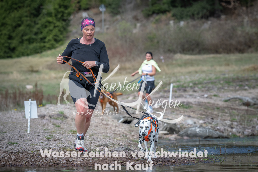 1100_ZZ92556 | kk-dogfotos