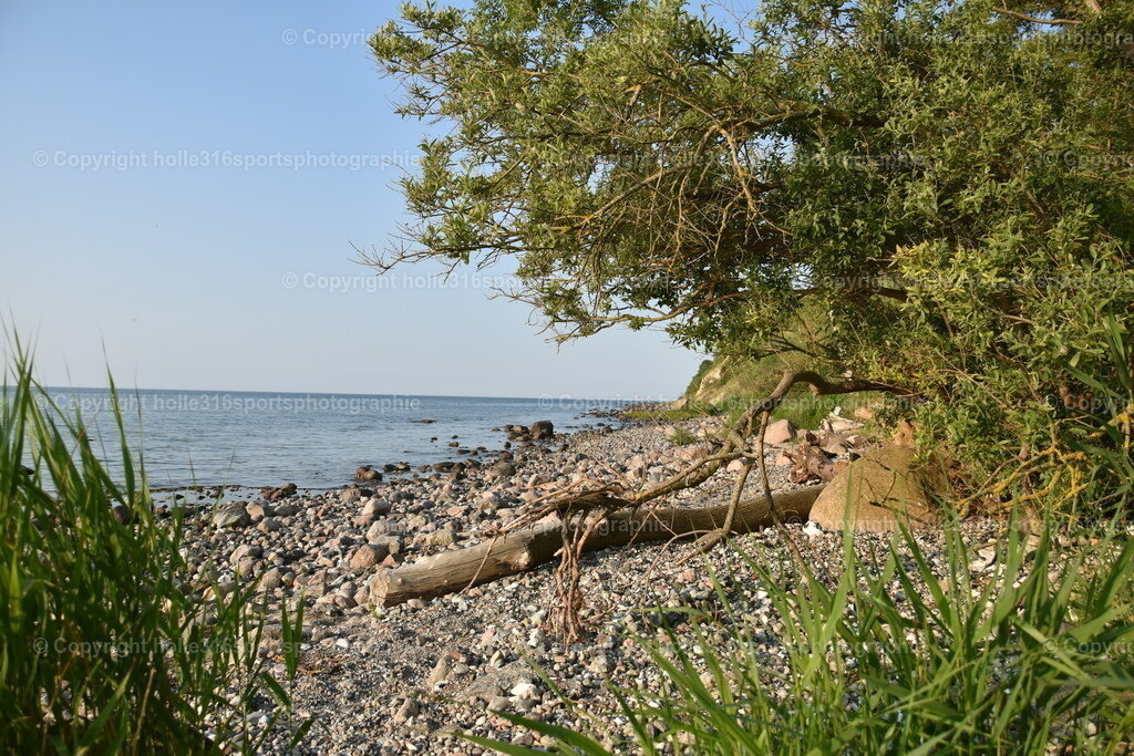 DSC_0028 | Sportfotografie , Motorsport, Motoross, Reitsport, Mointainbike, Enduro,
Landschaft , Outdoor, Eventfotografie, Landschaft, Bilder online bestellen - Realisiert mit Pictrs.com