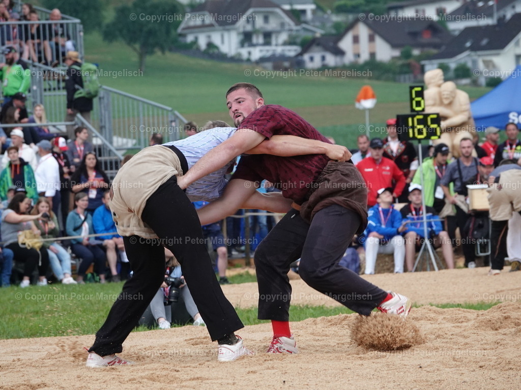 DSC04805 | Schwingen - Realisiert mit Pictrs.com