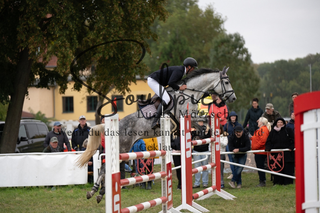 A7V07453 | Pferdefotograf