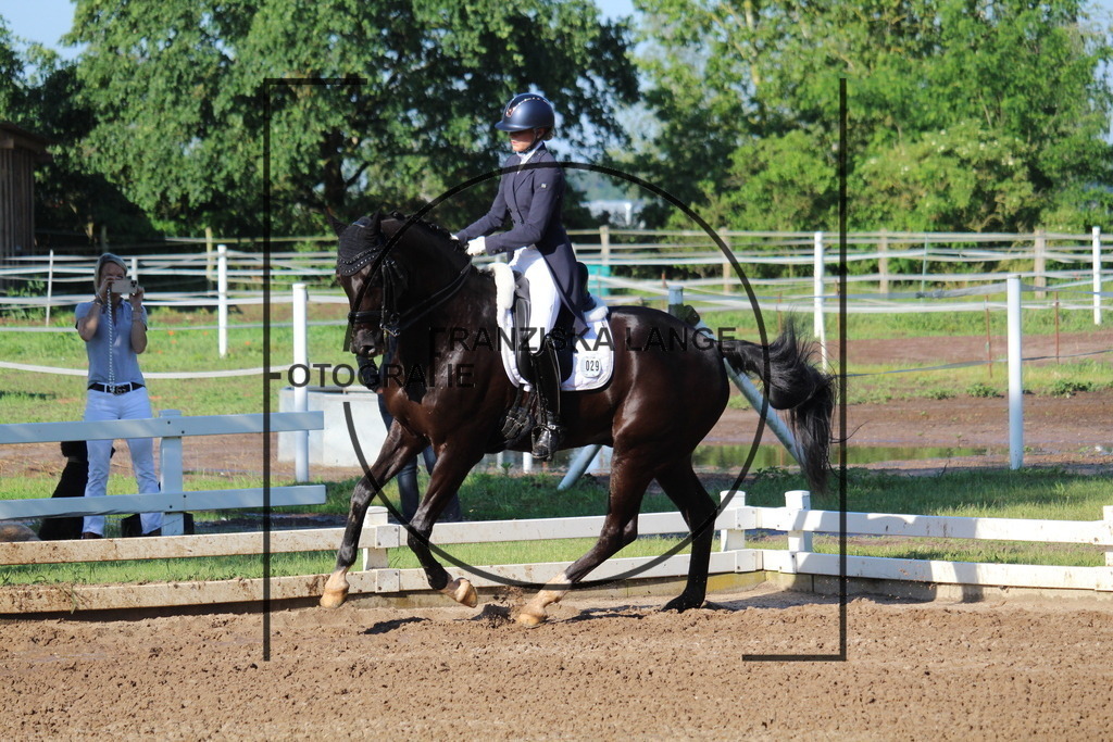 IMG_5901 | franziskalange - Realisiert mit Pictrs.com