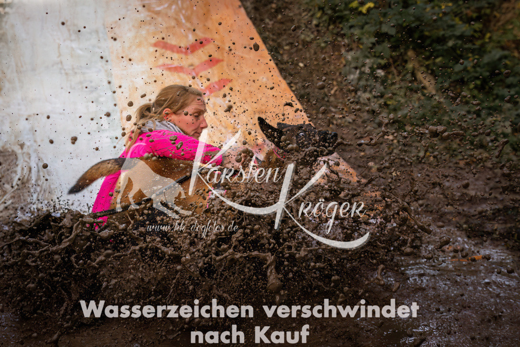 1052_ZZ94855 | kk-dogfotos