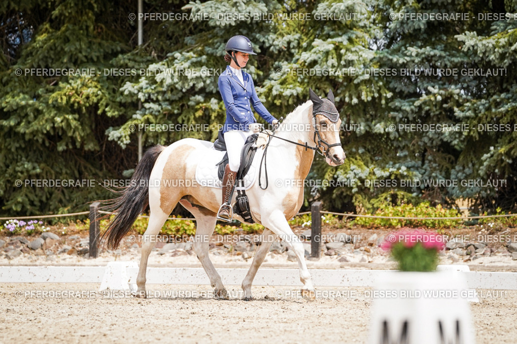 DSC03664 | Pferdegrafie