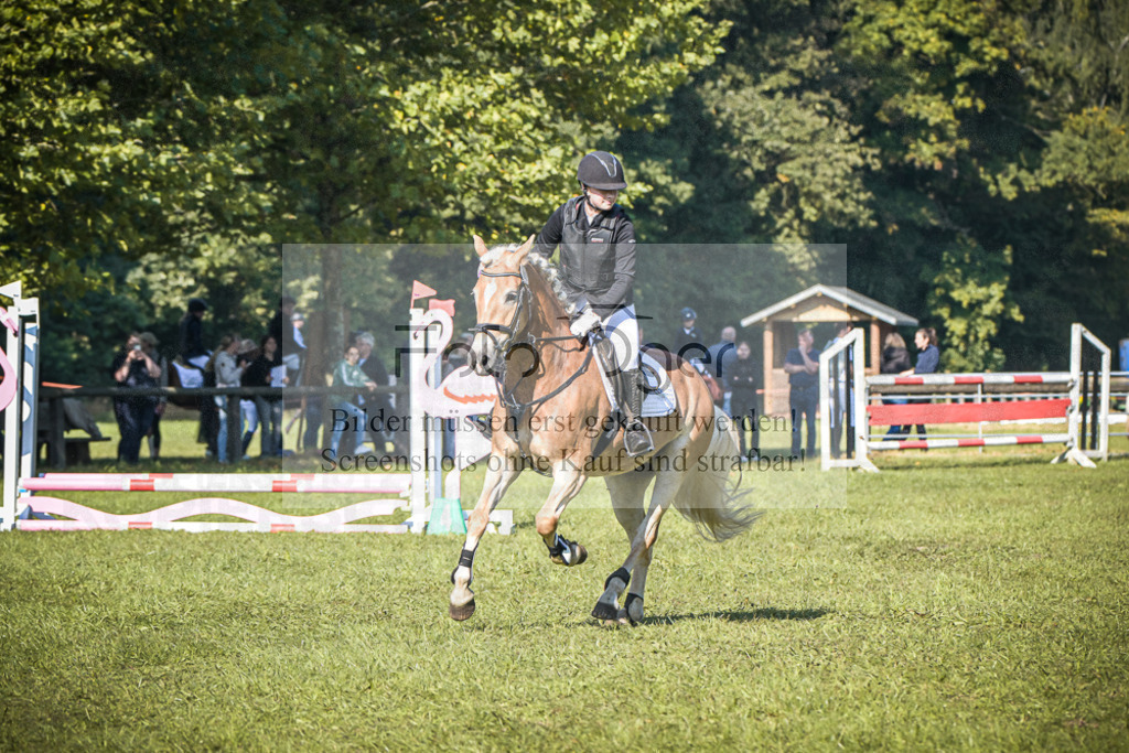 DOS_0320 | Entdecke hochwertige Reitturnierfotos von Foto Oger. Professionell, emotional und authentisch – jetzt Lieblingsmomente im Shop bestellen.Deutschlandweite Turnierfotografie. - Realisiert mit Pictrs.com