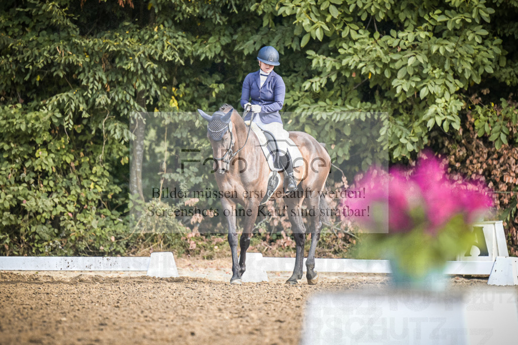 DOS_0392 | Entdecke hochwertige Reitturnierfotos von Foto Oger. Professionell, emotional und authentisch – jetzt Lieblingsmomente im Shop bestellen.Deutschlandweite Turnierfotografie. - Realisiert mit Pictrs.com