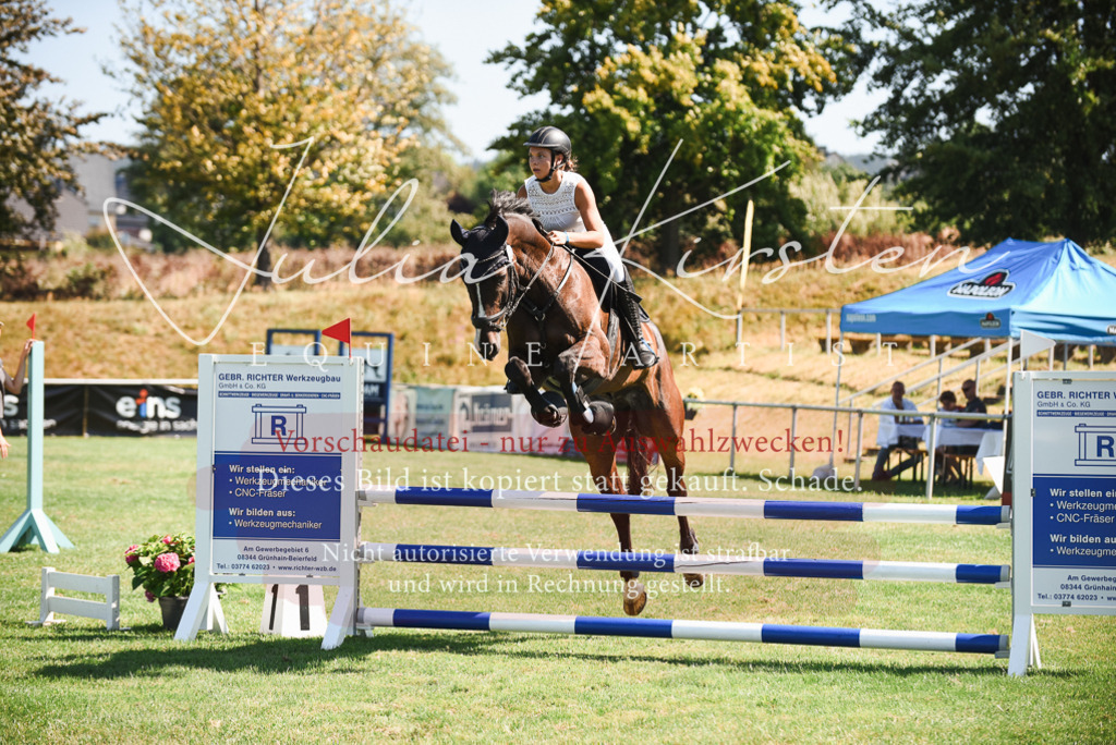 DSC_2856 | Pferde- und Turnierfotografie in Westsachsen. Pferdeportraits, Auftragszeichnungen und intuitive Kunst.