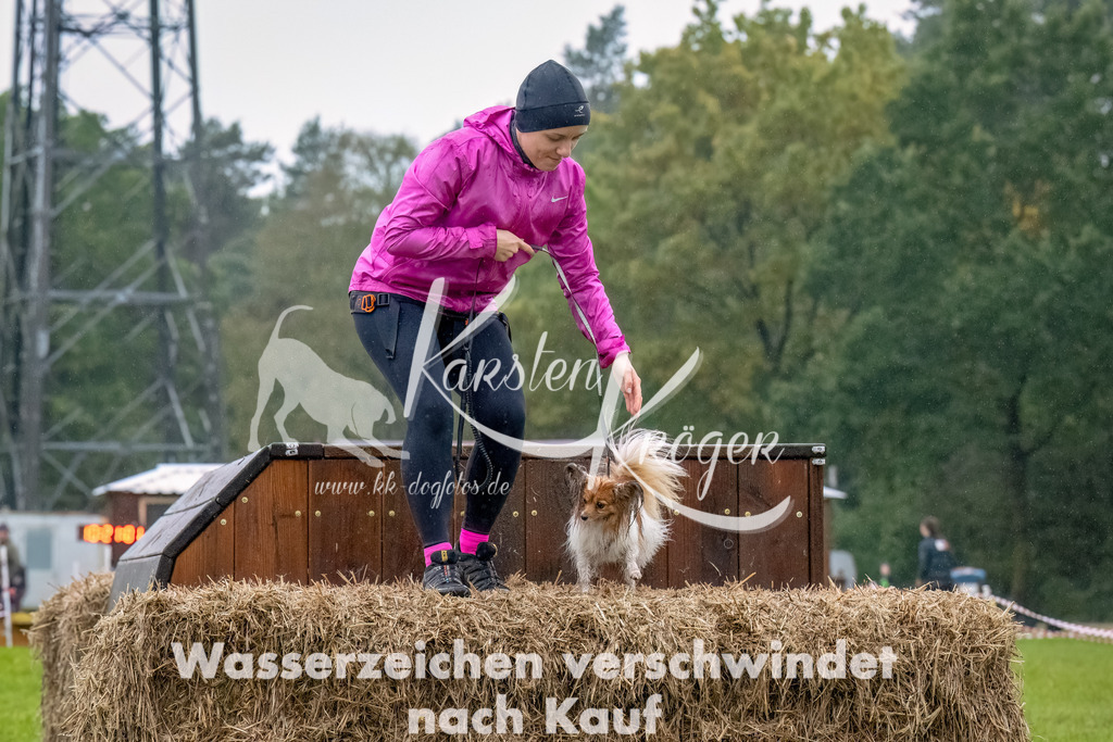 1022--13 | kk-dogfotos