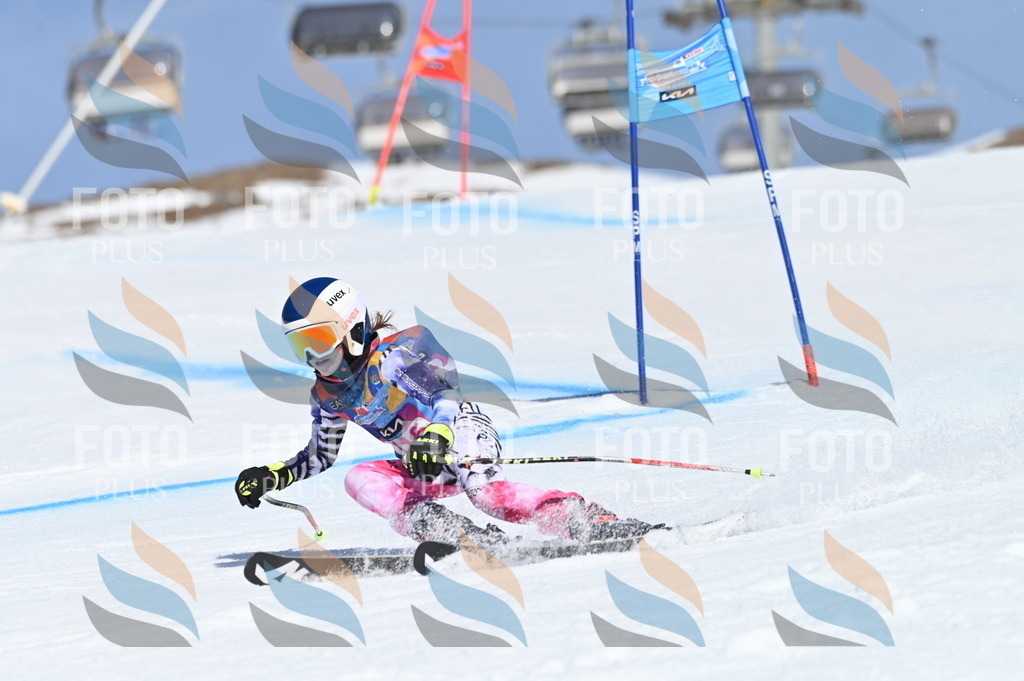 BGV_9724 | holidayphoto