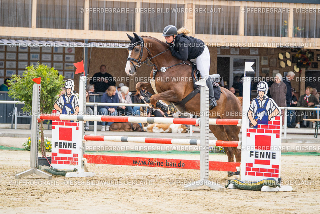 DSC01672 | Pferdegrafie