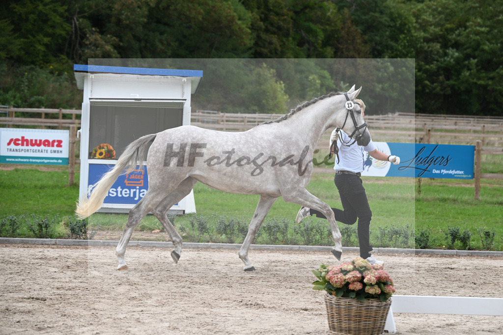 Kat-Nr. 23 Zaide_HLG Marbach_49221207 | hf-fotografie - Realisiert mit Pictrs.com