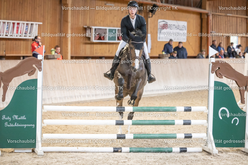 _D5A7151 | Emotionale Pferde- & People-Fotografie rund um Heidelberg, Leimen & Umgebung. Natürliche Fotos von Pferd, Mensch & Familie. Jetzt Termin sichern!