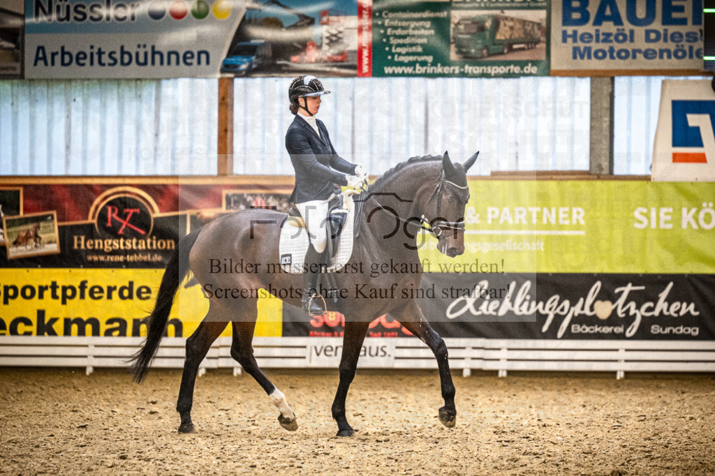 DOS_0754 | Entdecke hochwertige Reitturnierfotos von Foto Oger. Professionell, emotional und authentisch – jetzt Lieblingsmomente im Shop bestellen.Deutschlandweite Turnierfotografie. - Realisiert mit Pictrs.com