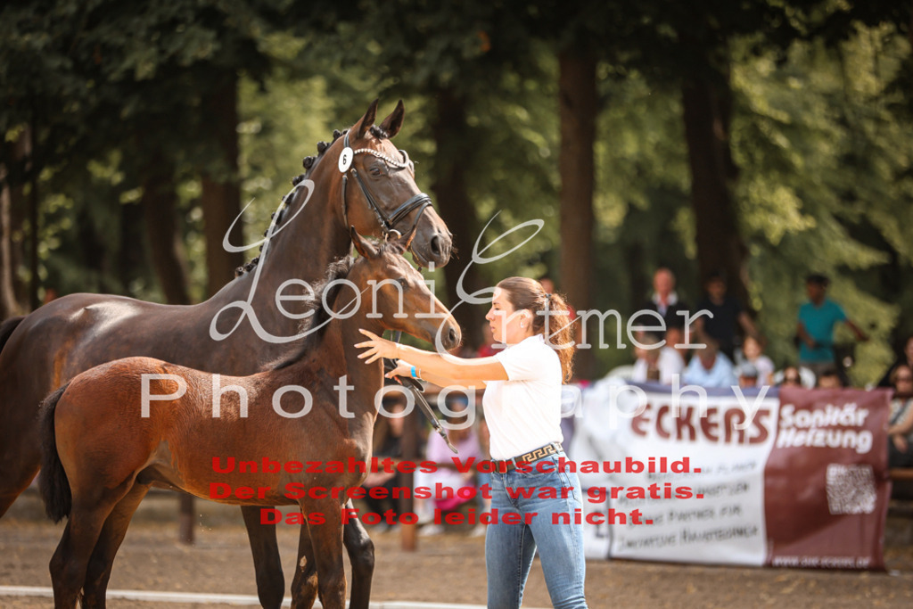 SaFohlen00050 | Leoni Ertmer Photography - Realisiert mit Pictrs.com