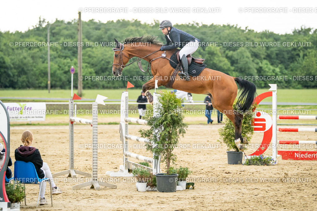 DSC07100 | Pferdegrafie