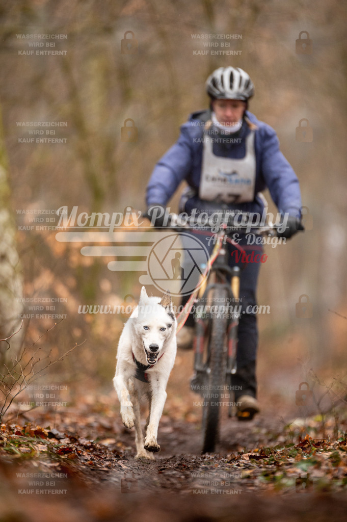 Reiat2023_SON_Bike_5km_1H-61 | PayLife