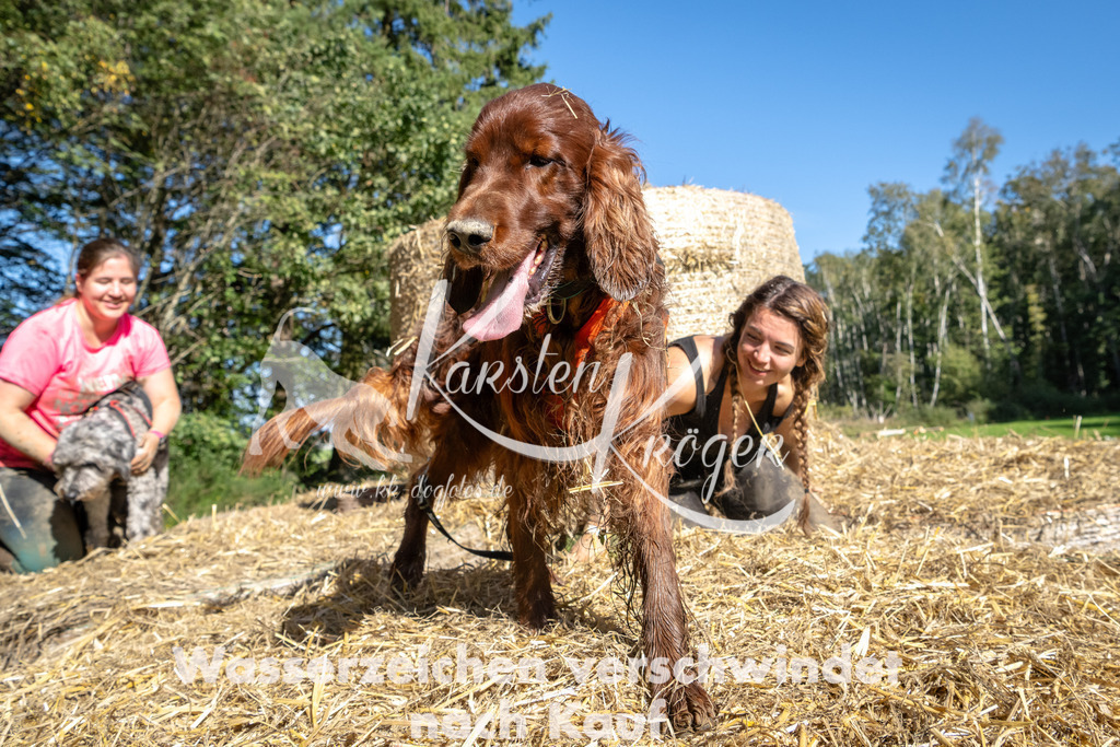 1205_ZZ90196-2 | kk-dogfotos