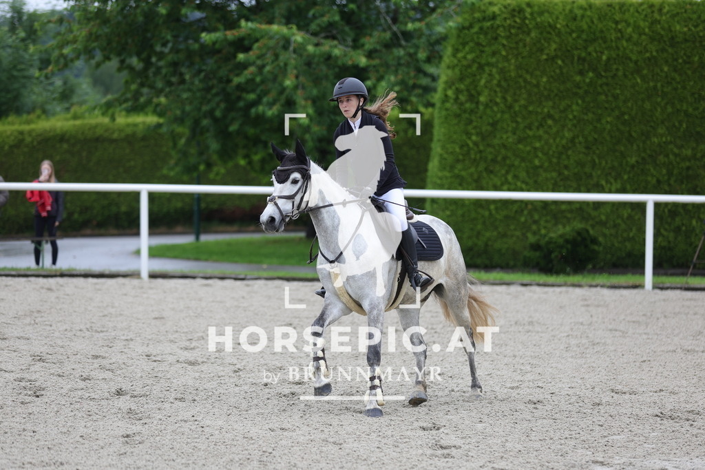 0P6A8546 | Willkommen bei Brunnmayr - Design & Fotografie – Ihrem Spezialisten für Reitturniere und Pferdeveranstaltungen in Oberösterreich, Salzburg und Bayern! Seit über 17 Jahren sind wir leidenschaftlich dabei.