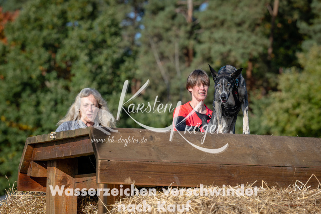 1030_ZZ90725 | kk-dogfotos