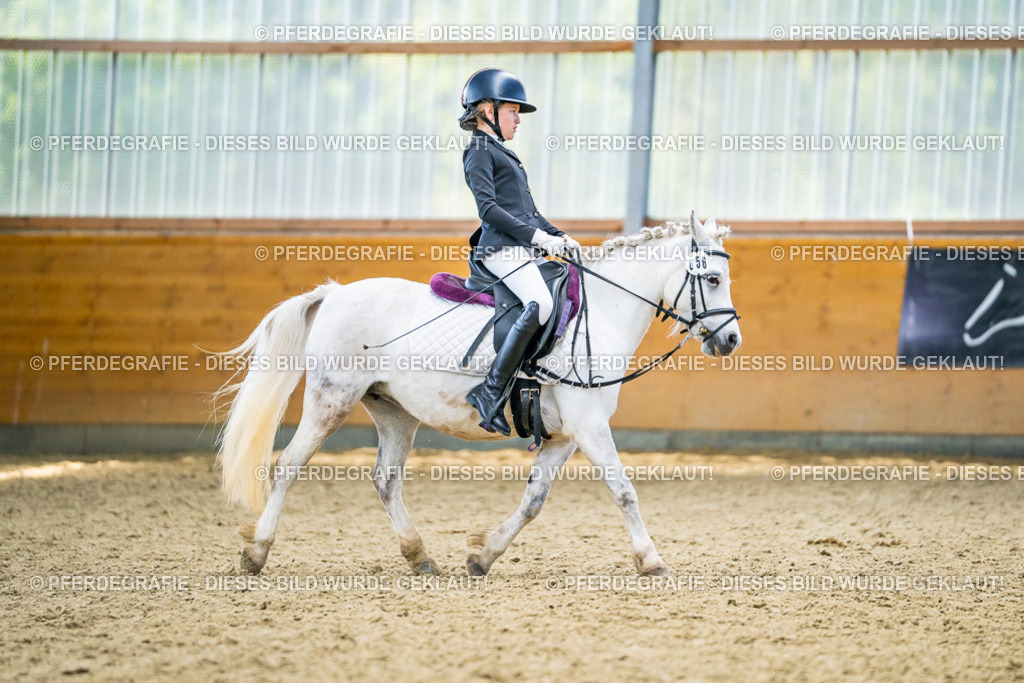 DSC04984 | Pferdegrafie