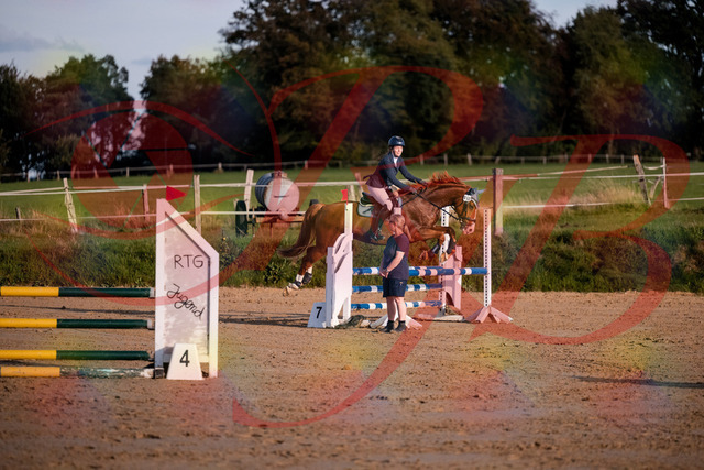 2026_10_03_Siefer-Hof_171247_Z81_10018140 | Professionelle Reitsport-, Turnier- und Eventfotografie von Robert Broda. Galerien mit ausgewählten und bearbeiteten Bildern direkt online ansehen und bestellen.