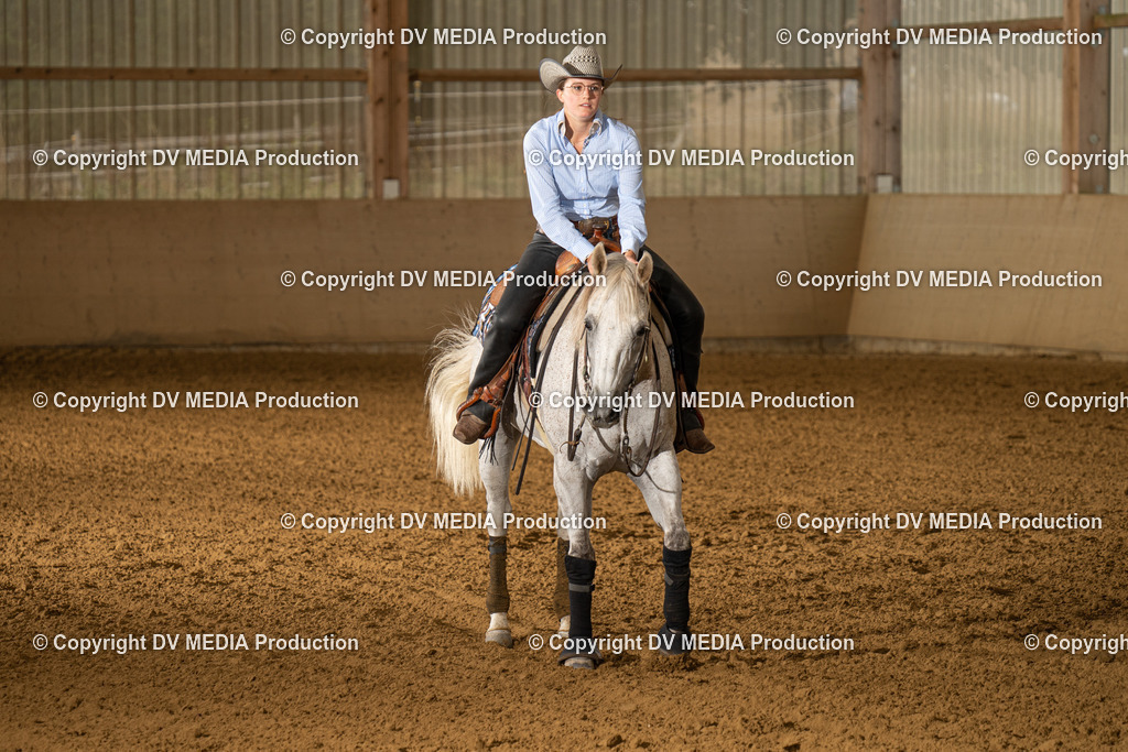 LAU00957 | dv-media-shop - Realisiert mit Pictrs.com