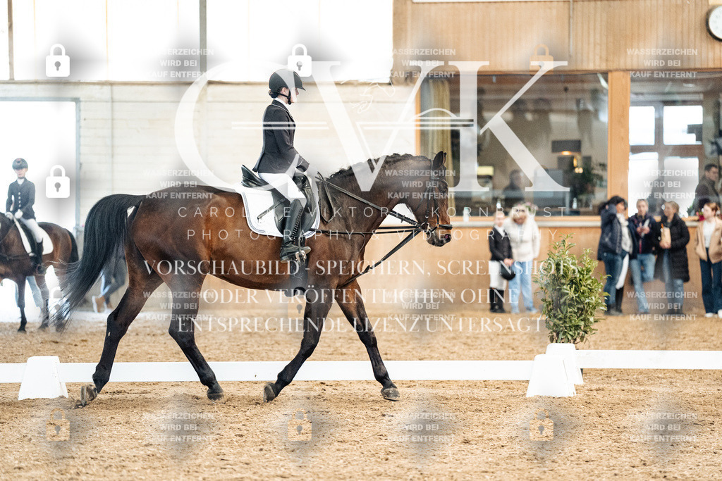 CK900174 | Turnierfotografie Pferdefotografie Trier Rheinland-Pfalz Pferdesport Reitsport Tierfotografie Sportfotografie Pferdevideo Pferdevideografie Equestrianvideography equestrianphotography  - Realized with Pictrs.com