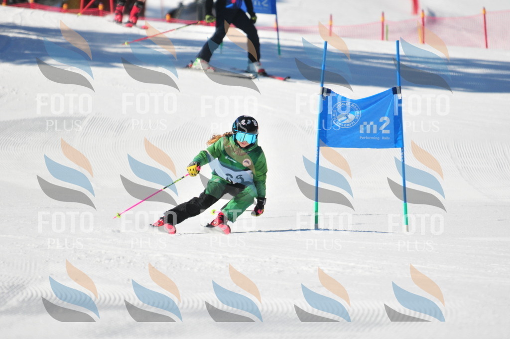 C2958 | holidayphoto