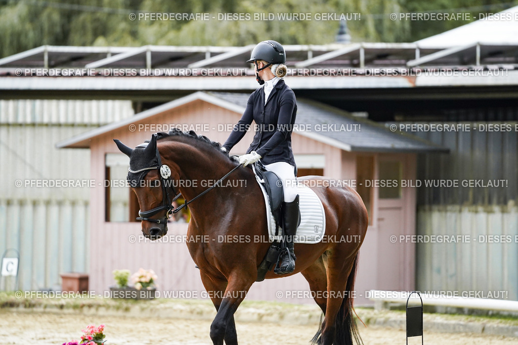 DSC06209 | Pferdegrafie