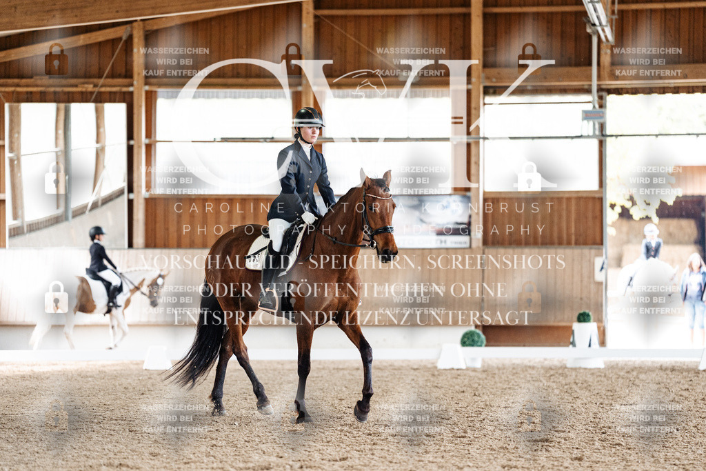 CK900345 | Turnierfotografie Pferdefotografie Trier Rheinland-Pfalz Pferdesport Reitsport Tierfotografie Sportfotografie Pferdevideo Pferdevideografie Equestrianvideography equestrianphotography  - Realisiert mit Pictrs.com
