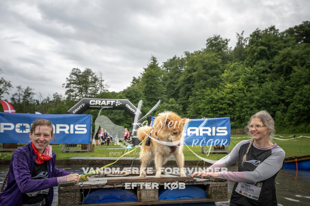 1619_ZZ96909-2 | kk-dogfotos