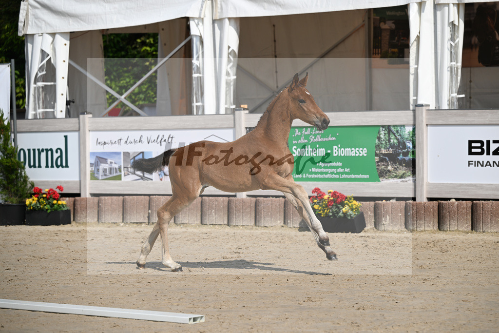 Feliciano x Danone I_SF_Huber_12250114 | hf-fotografie - Realizzato con Pictrs.com