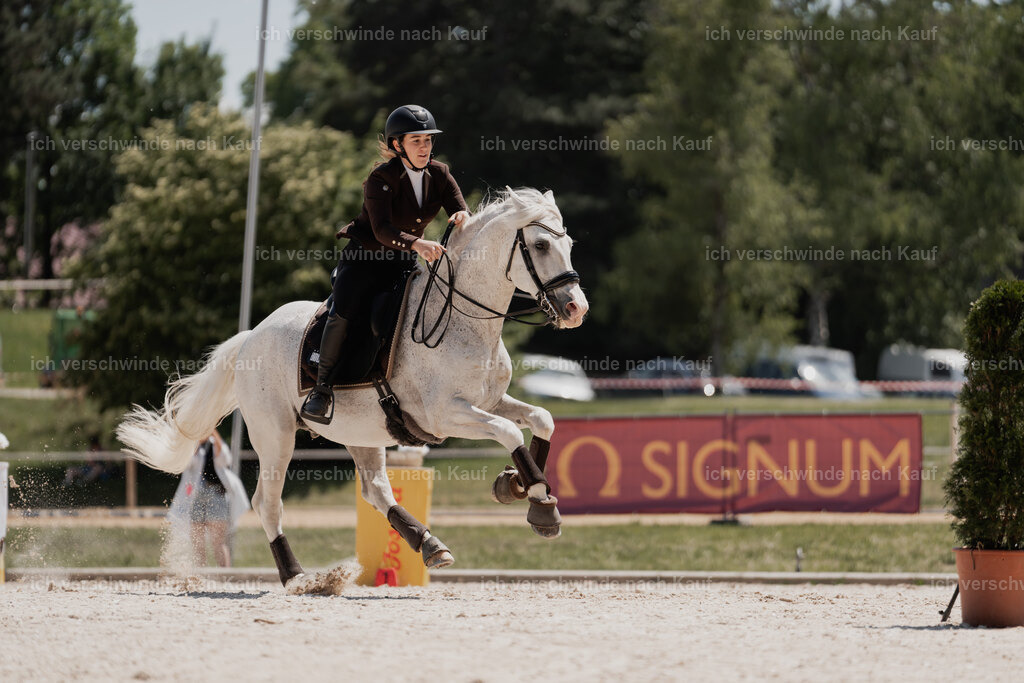WE_SP_Stoib_318_PI2025_2076 | Pferd International München 2025