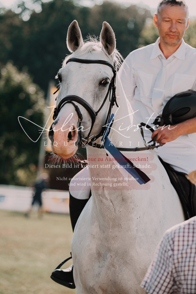 DSC_4922 | Pferde- und Turnierfotografie in Westsachsen. Pferdeportraits, Auftragszeichnungen und intuitive Kunst.