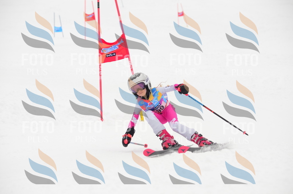 C1373 | holidayphoto