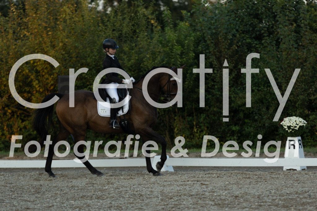 IMG_7701 | Creatify Fotografie