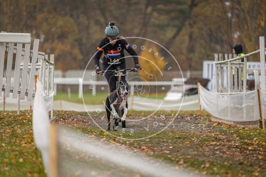 CaniXpix_DV3A8536 | Hundefotografie, Tierfotograf, Pfotenfotografie, Fotoshooting Hund, Hunde Portrait, Hundesport, Hundeportraits, Heideshooting, Hunde, Sportfotograf, Hundefotograf, Turnierhundsport, THS,  - Realisiert mit Pictrs.com