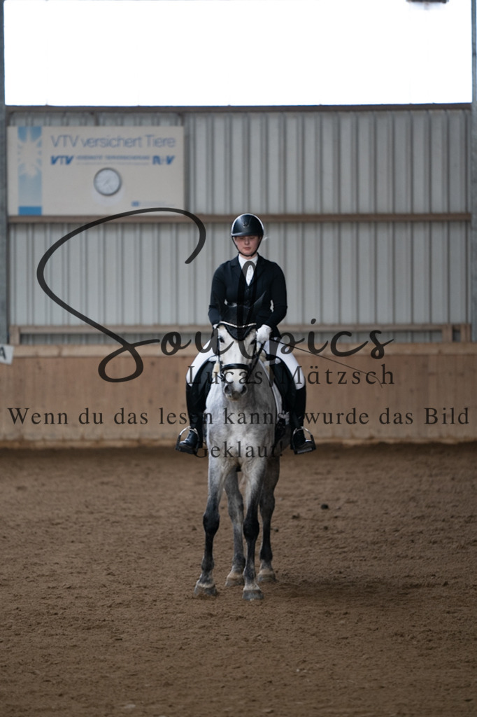 A7V04825 | Pferdefotograf