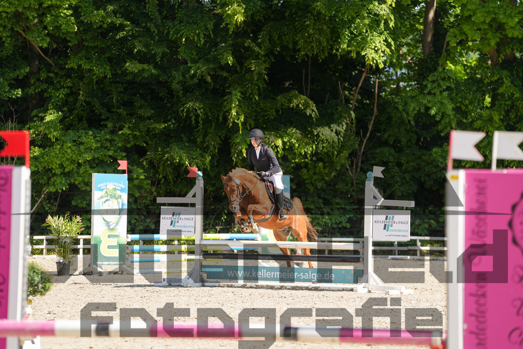 DSC02114 | Julian Held Fotografie - Realisiert mit Pictrs.com