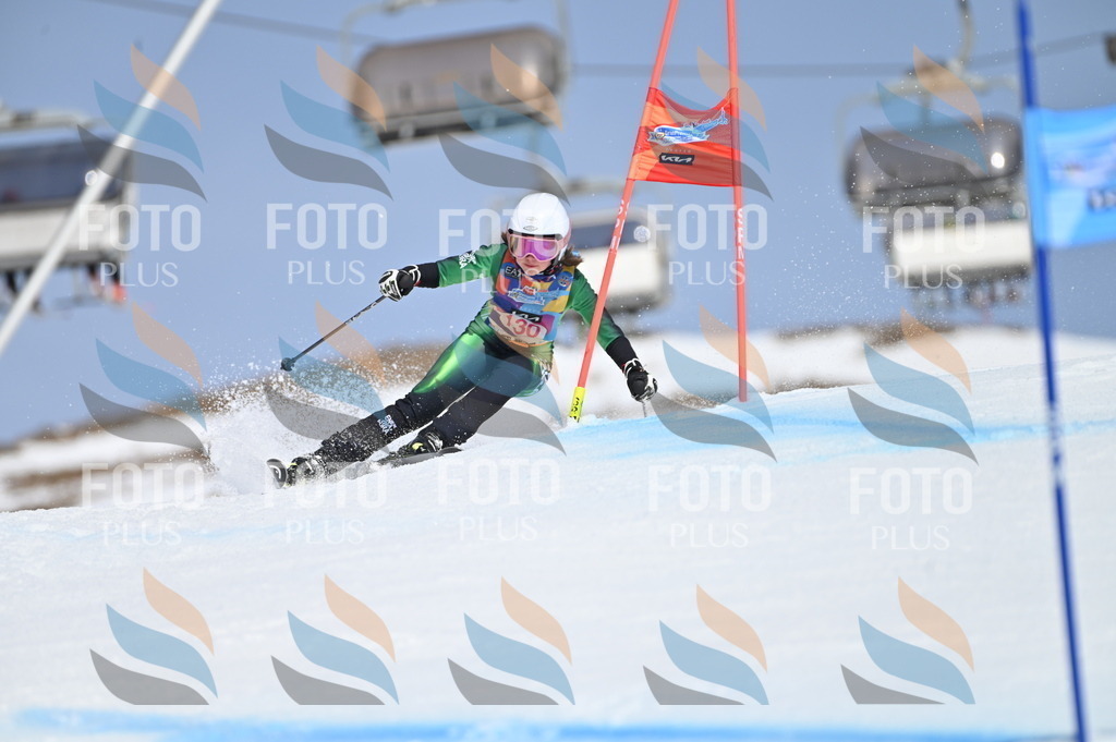 BGV_9975 | holidayphoto