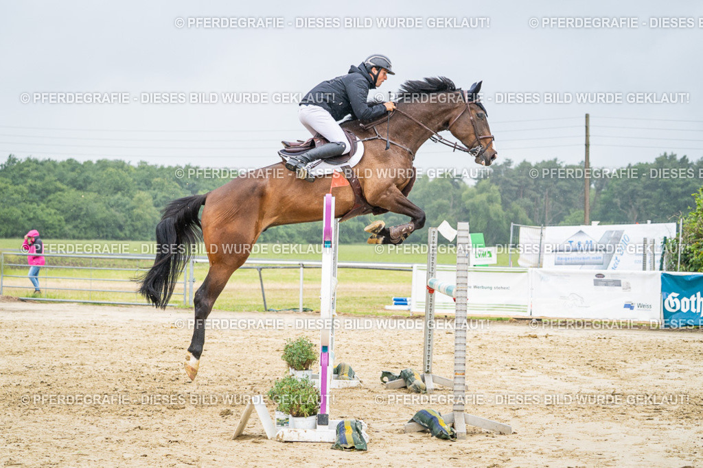 DSC02927 | Pferdegrafie