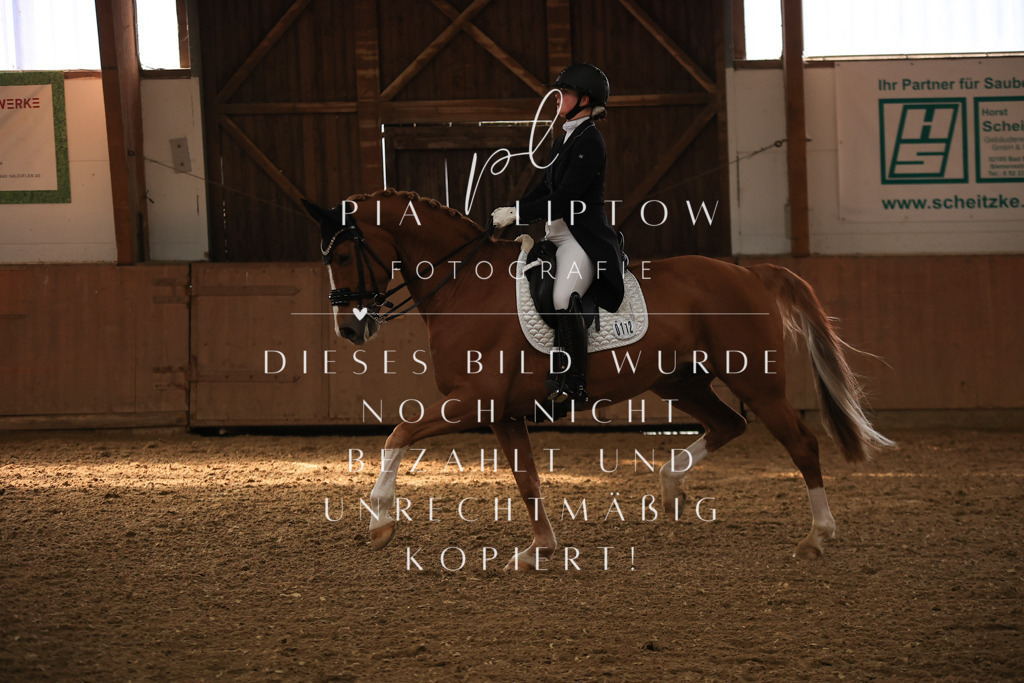 IMGT4641 | pl-fotografie