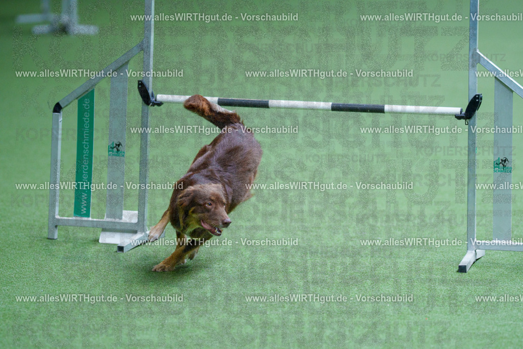 @allesWIRTHgut_Tierfotografie - www.allesWIRTHgut.de - 2604261246-7R501663 | Professionelle Tierfotografie in Mönchengladbach von Daniel Wirth (allesWIRTHgut). Liebevolle & natürliche Bilder von Hunden & Katzen für unvergessliche Erinnerungen.