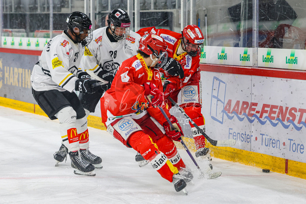 701A3005 | Sportbilder, Sportfotograf, Hochzeits- und Eventfotografin, Flugshows, Portraits und Tiershooting, Aviation, Downhill, Nationalleague, Swissleague, International