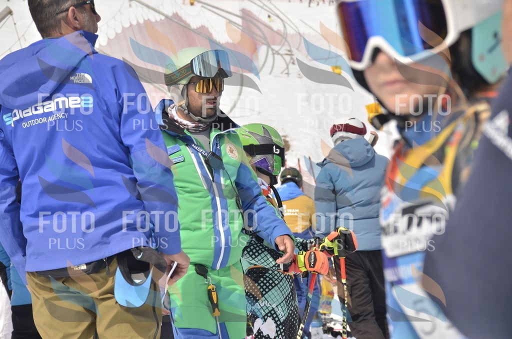 _ELE8431 | holidayphoto