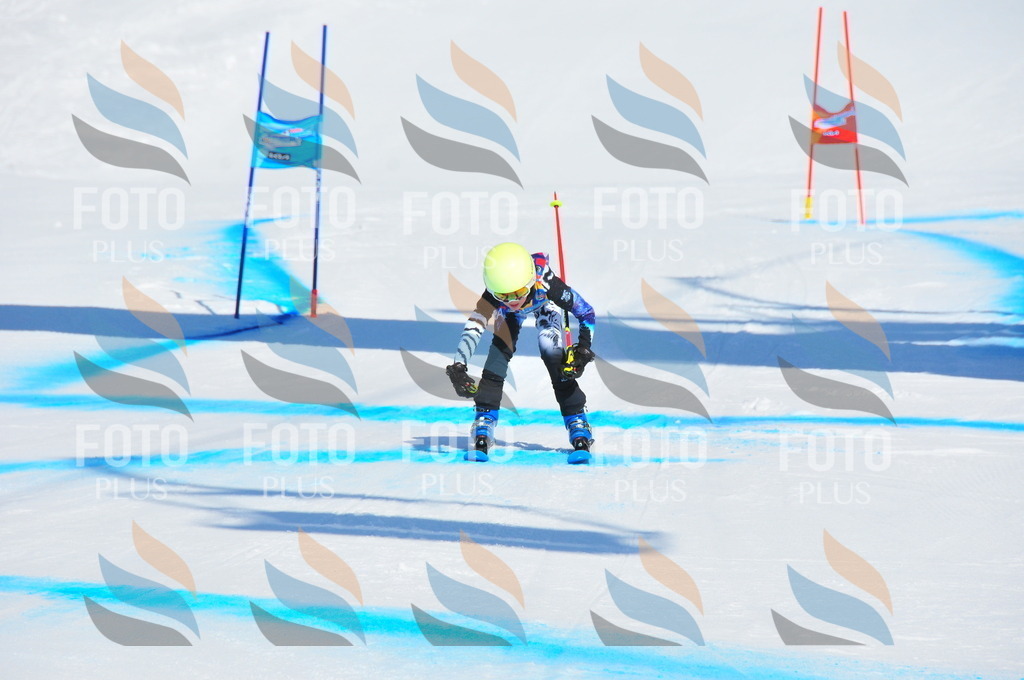 DSC_0865 | holidayphoto